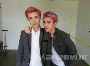 鹿晗吴世勋狗仔爆料视频,揭秘明星私生活幕后真相  第2张